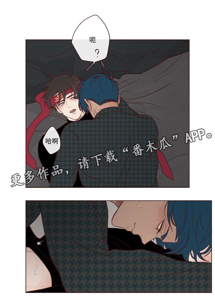 第17章：脸