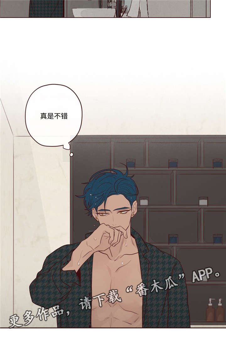 第17章：脸