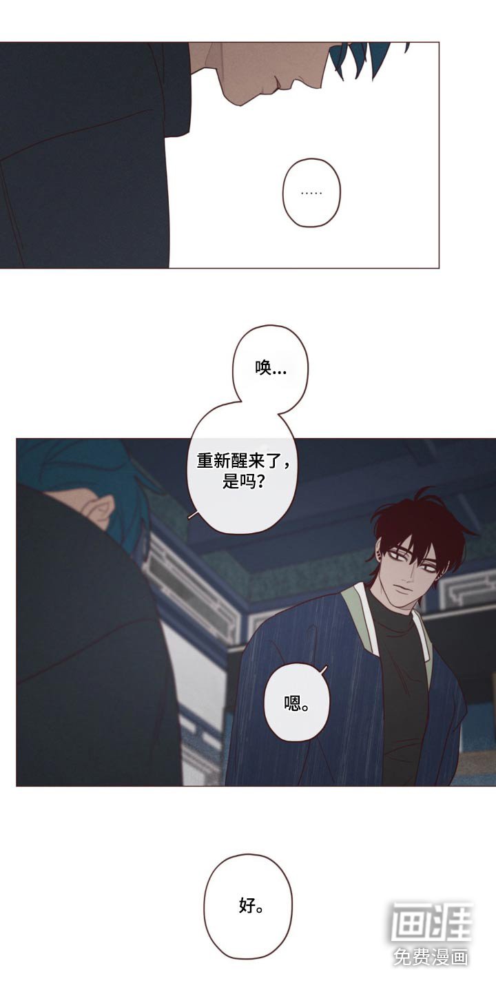 第172章：选择