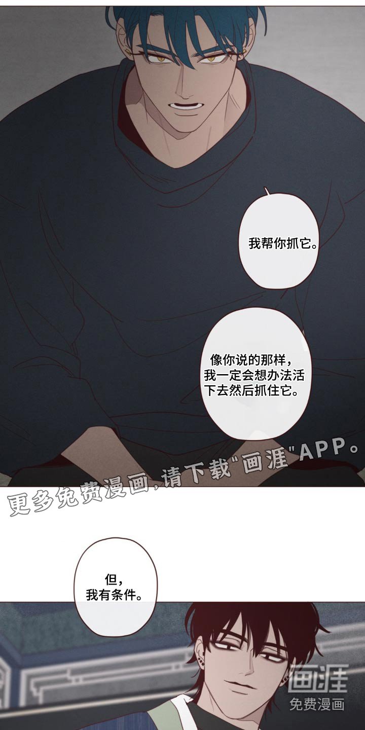 第172章：选择