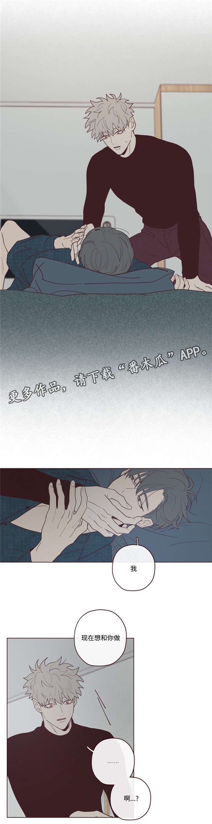 第31章：记忆
