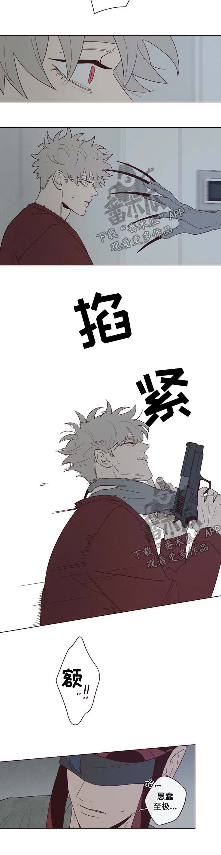 第46章：要害