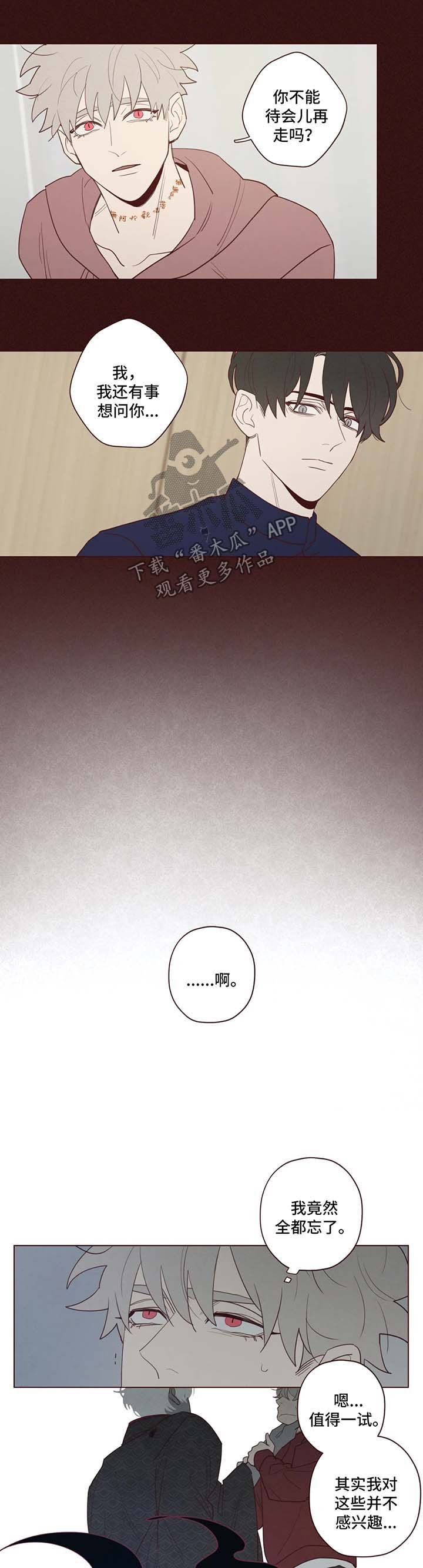 第46章：要害