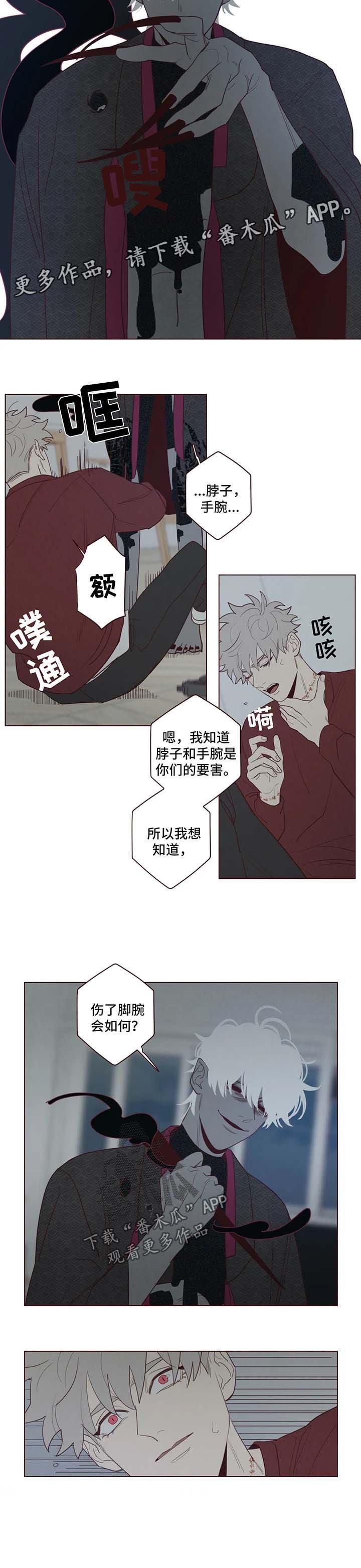 第46章：要害