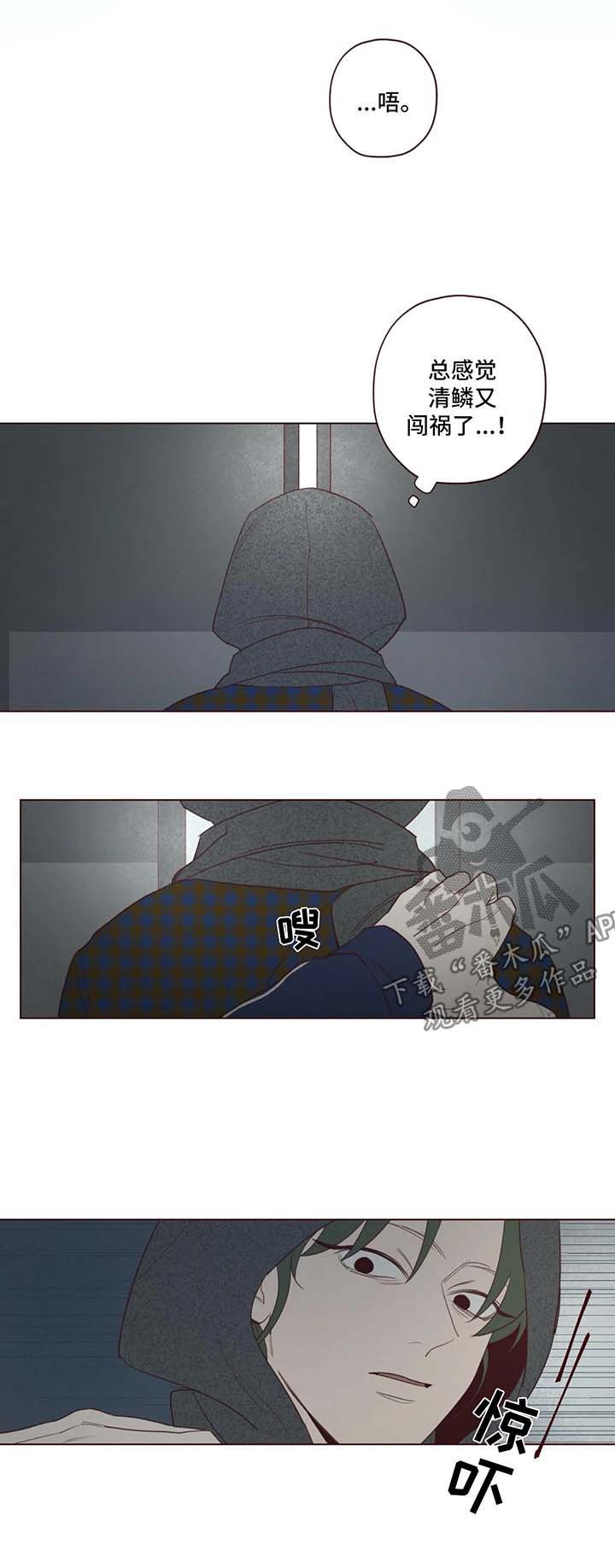 第48章：藏身之地