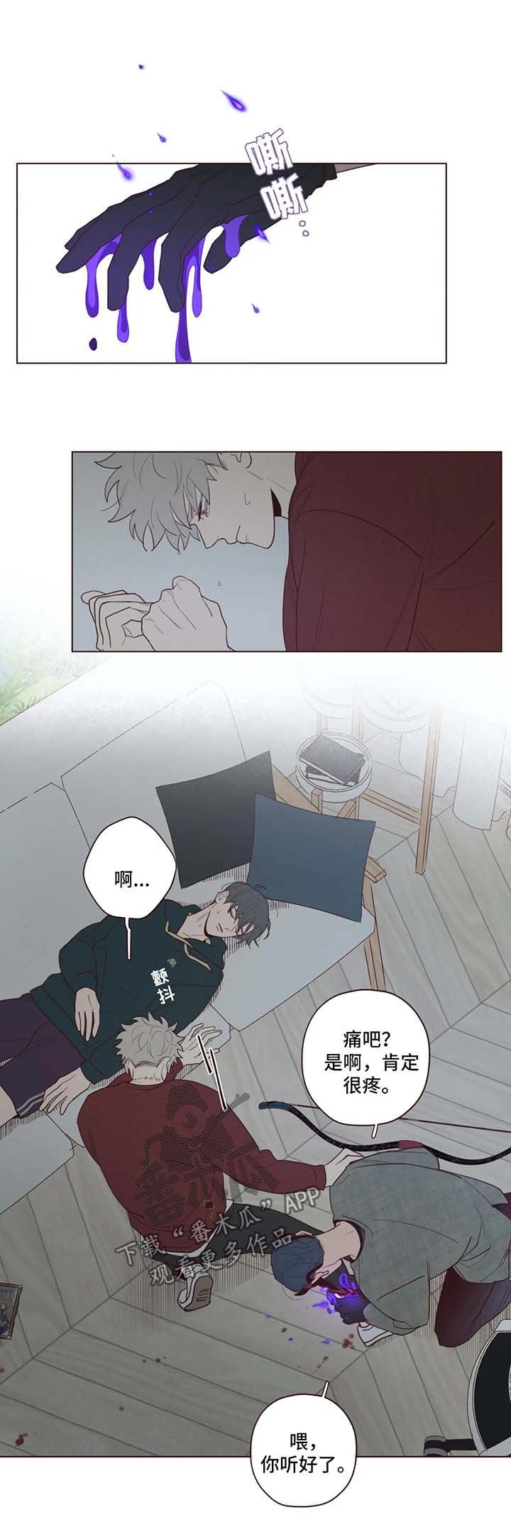 第48章：藏身之地