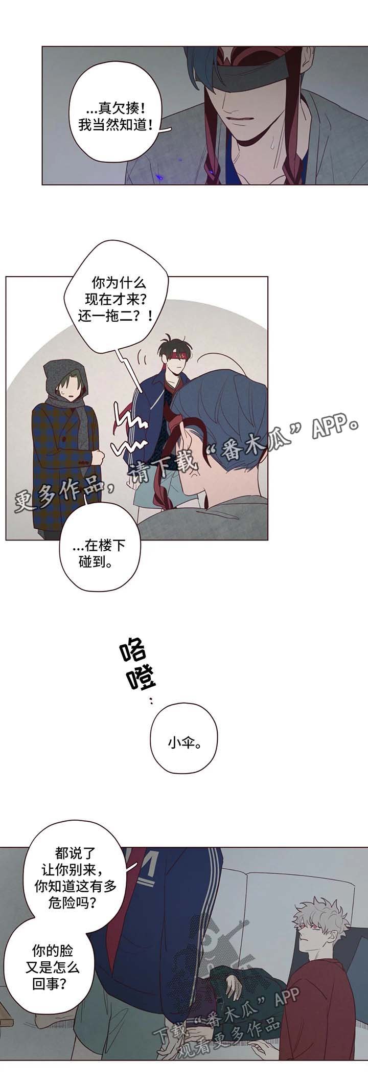 第48章：藏身之地