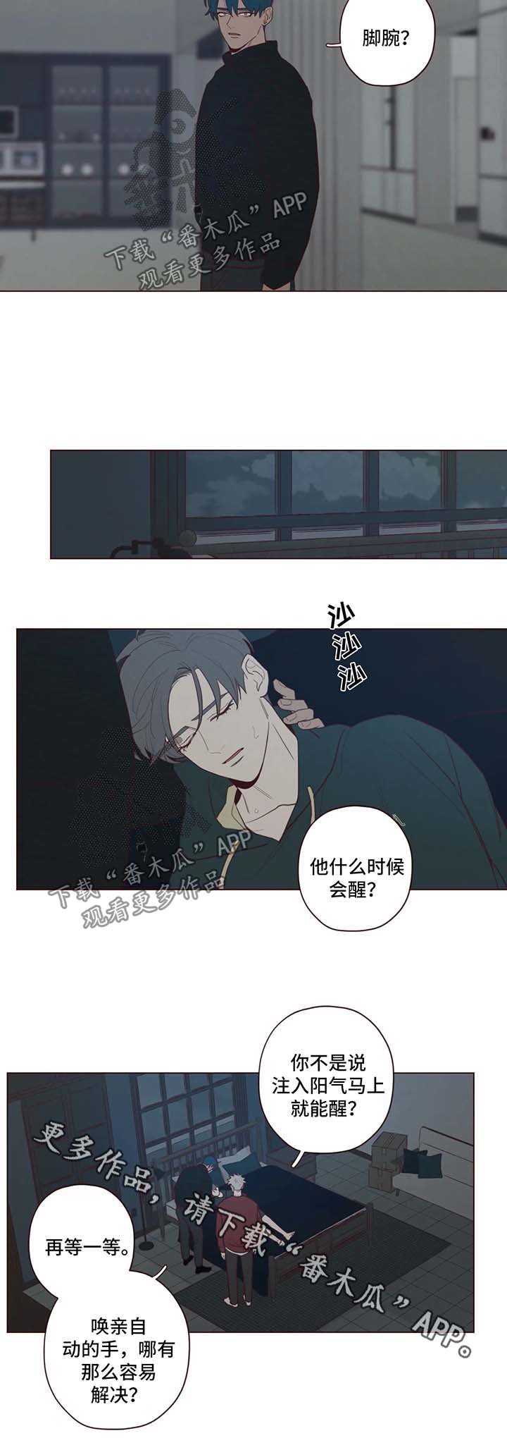 第53章：记忆的特权
