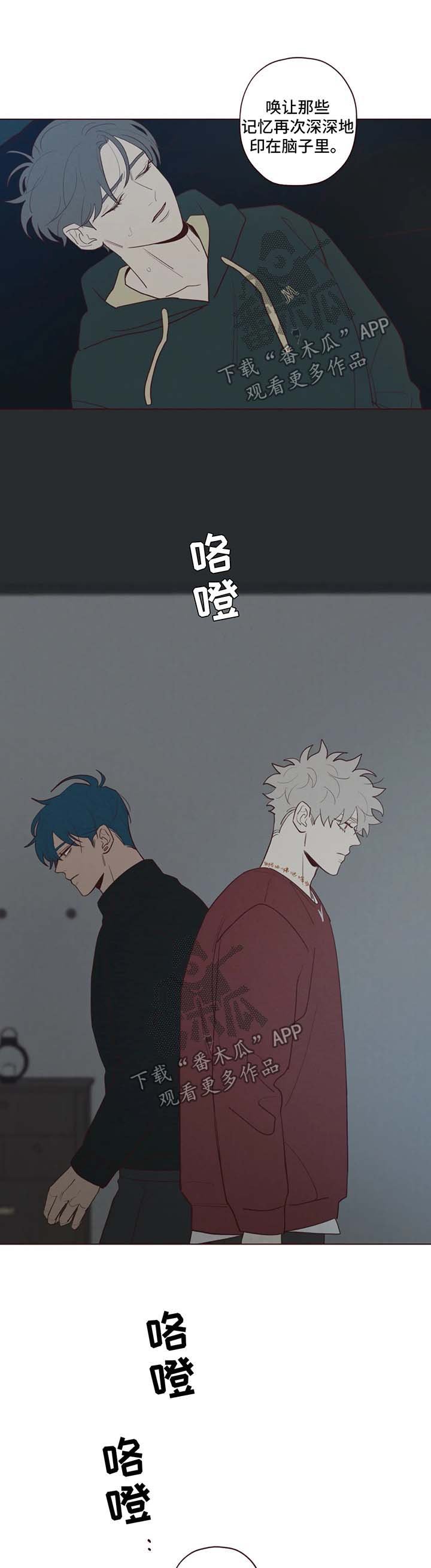 第53章：记忆的特权