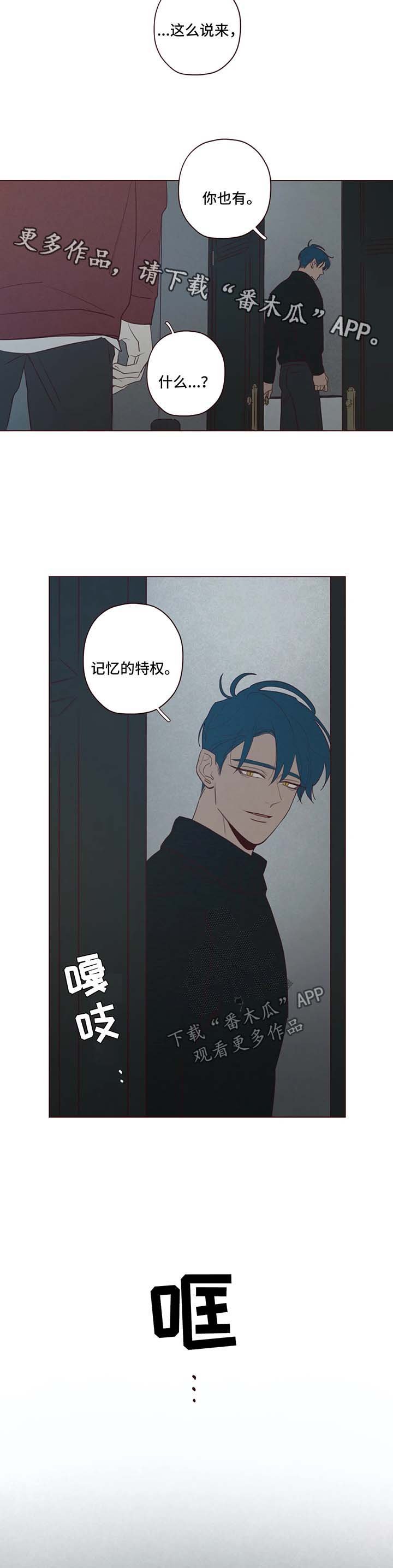 第53章：记忆的特权