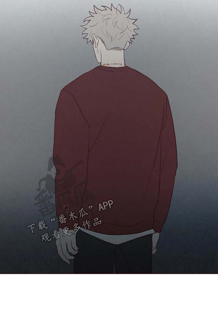 第53章：记忆的特权