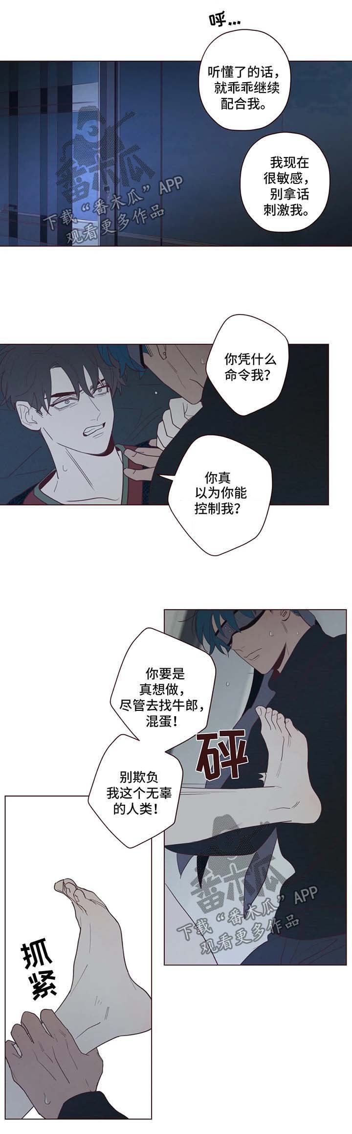第64章：多管闲事