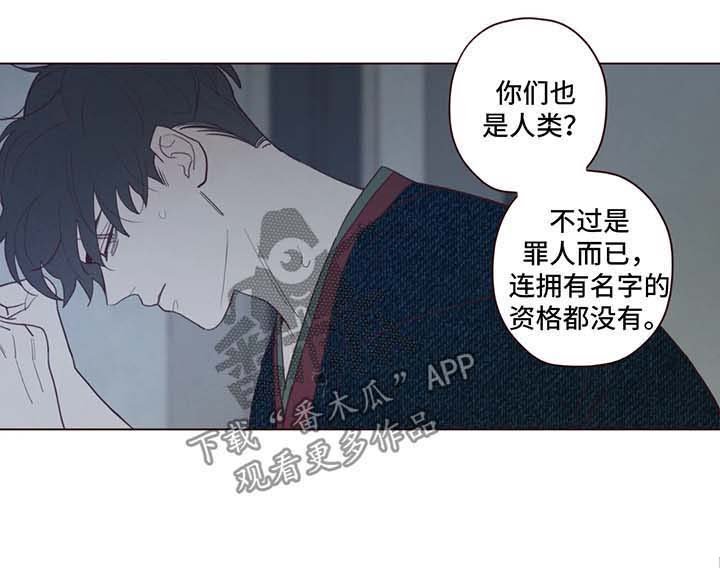 第65章：危险与安全