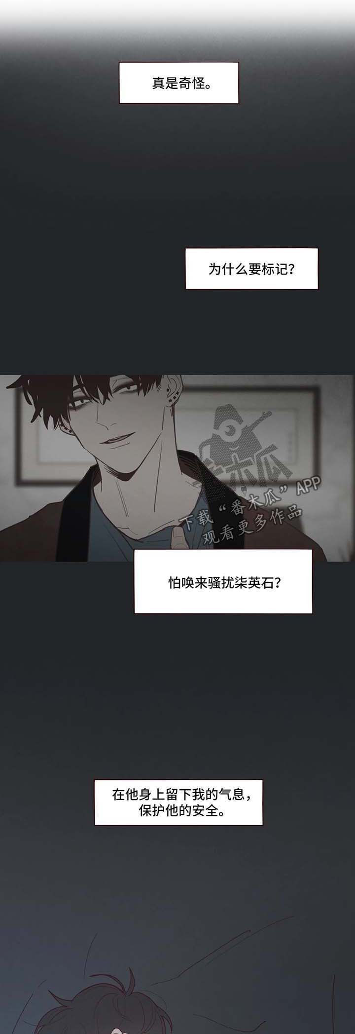 第65章：危险与安全