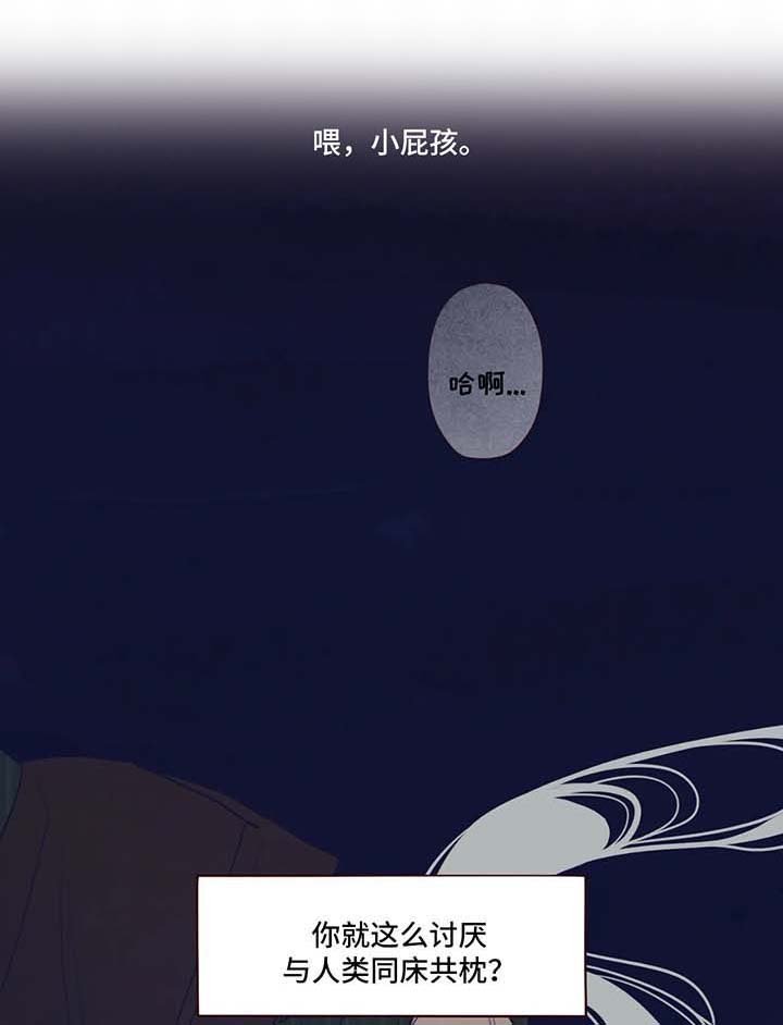 第66章：有话说