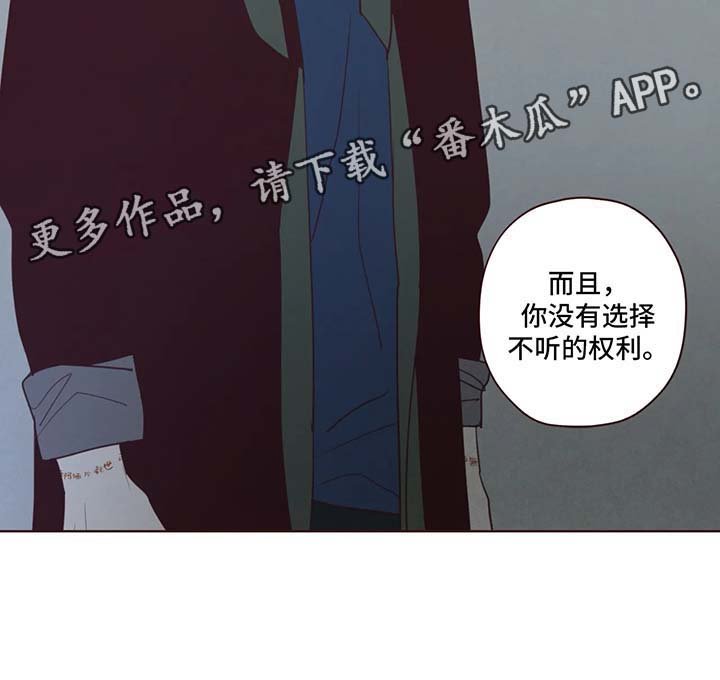 第67章：你没有权利