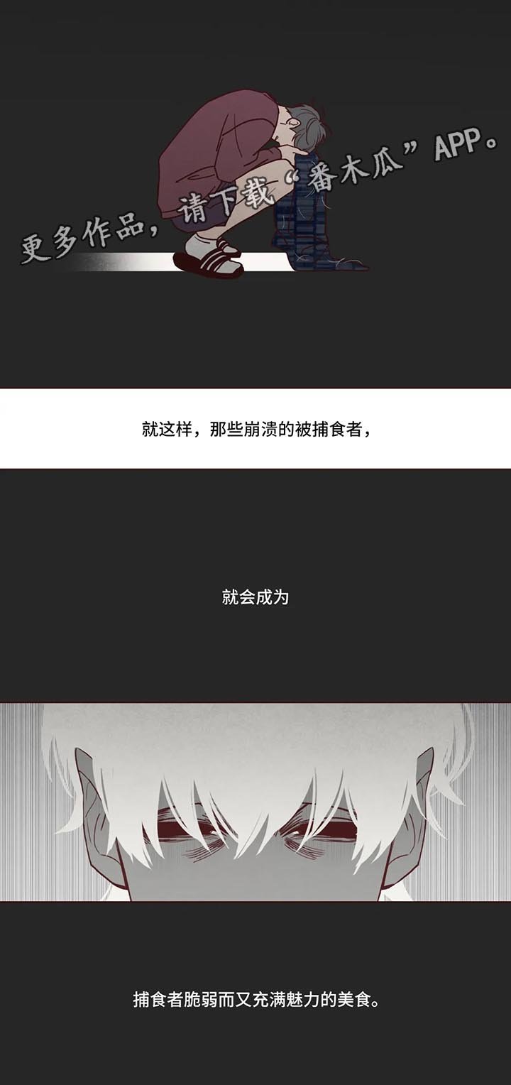 第79章：捕食者