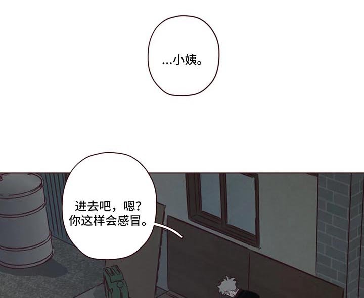 第80章：小姨之死
