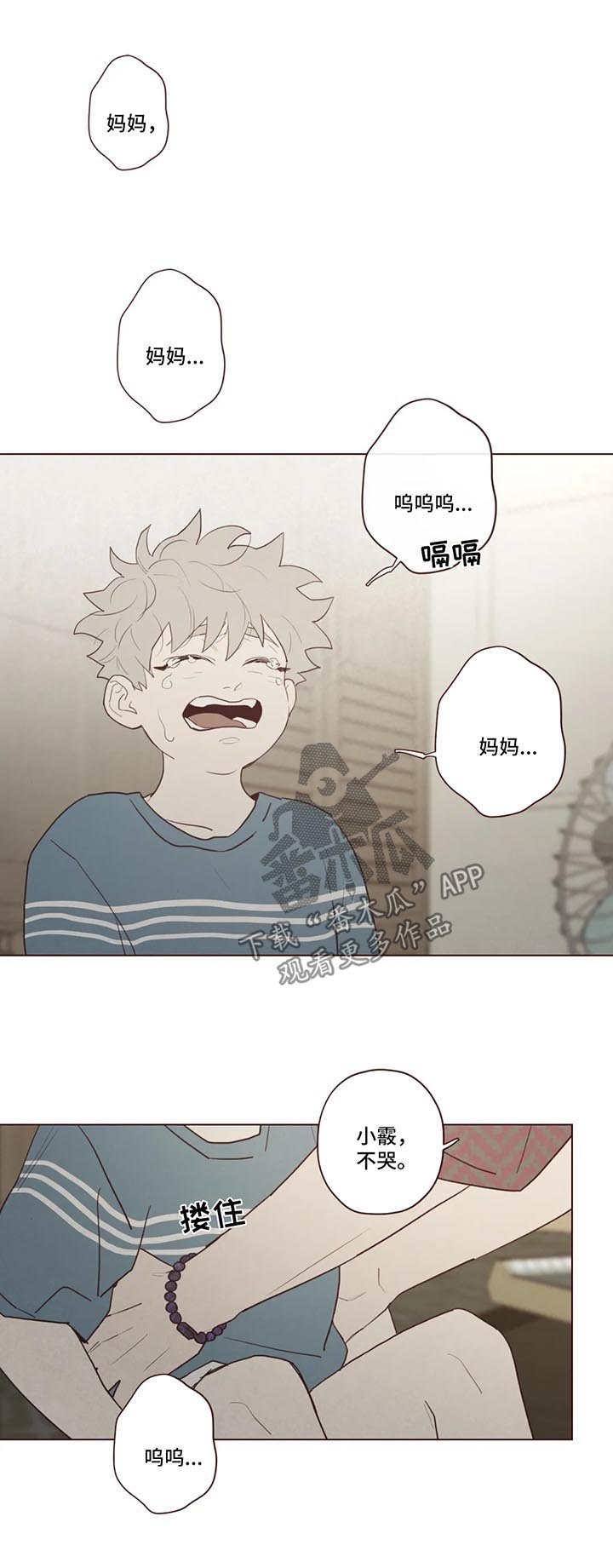 第80章：小姨之死