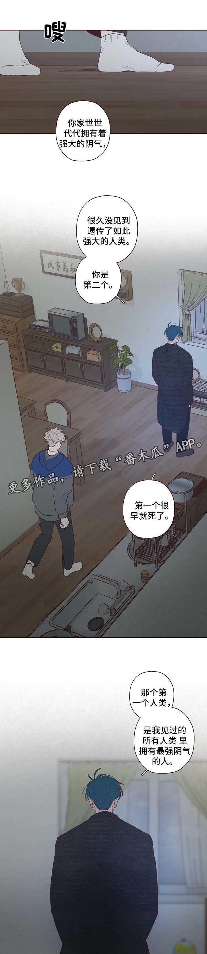 第82章：鬼魅出现