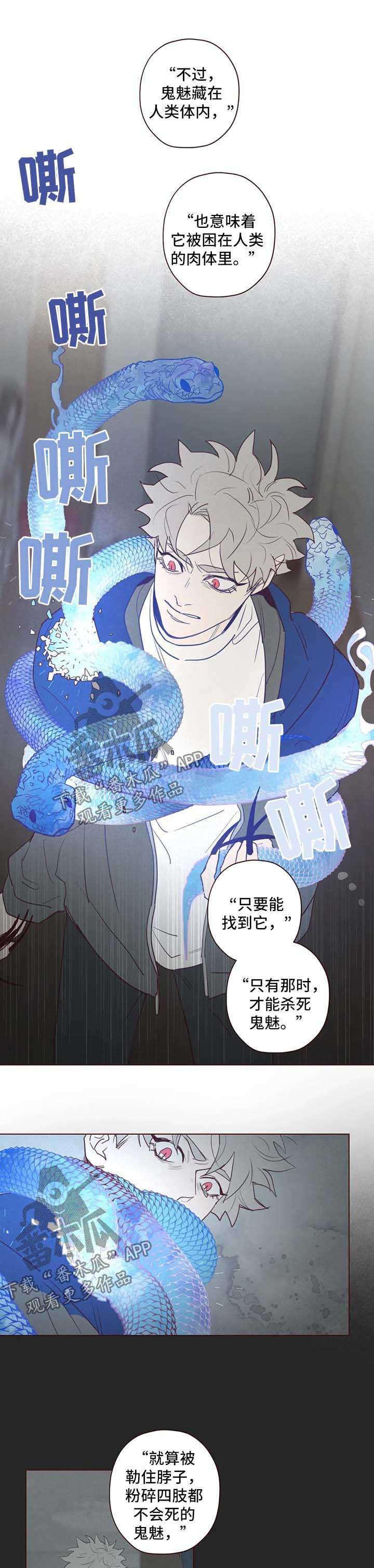 第82章：鬼魅出现