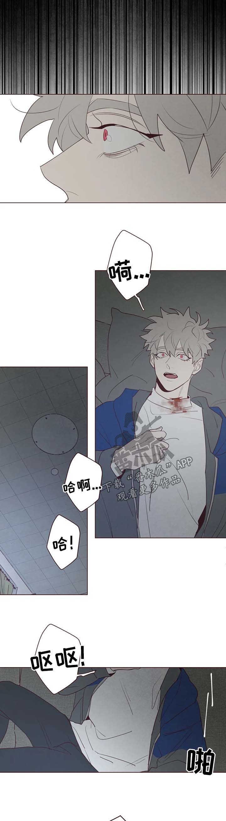 第84章：死而复生的感觉