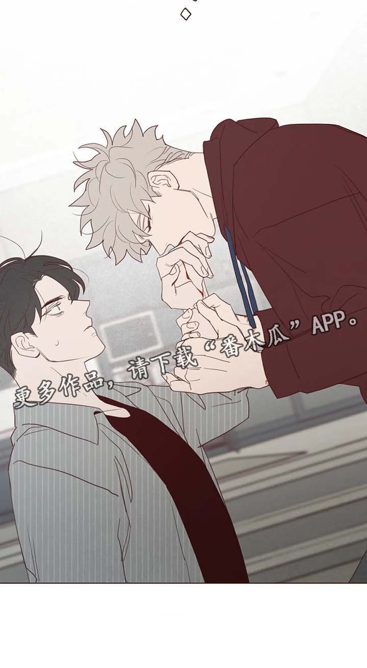 第94章：吸血