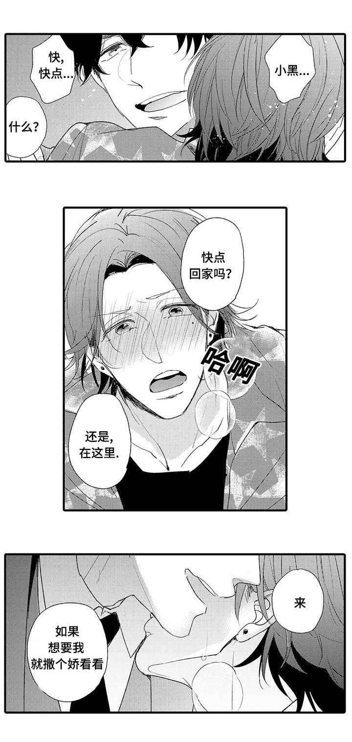 第14章：过分的事