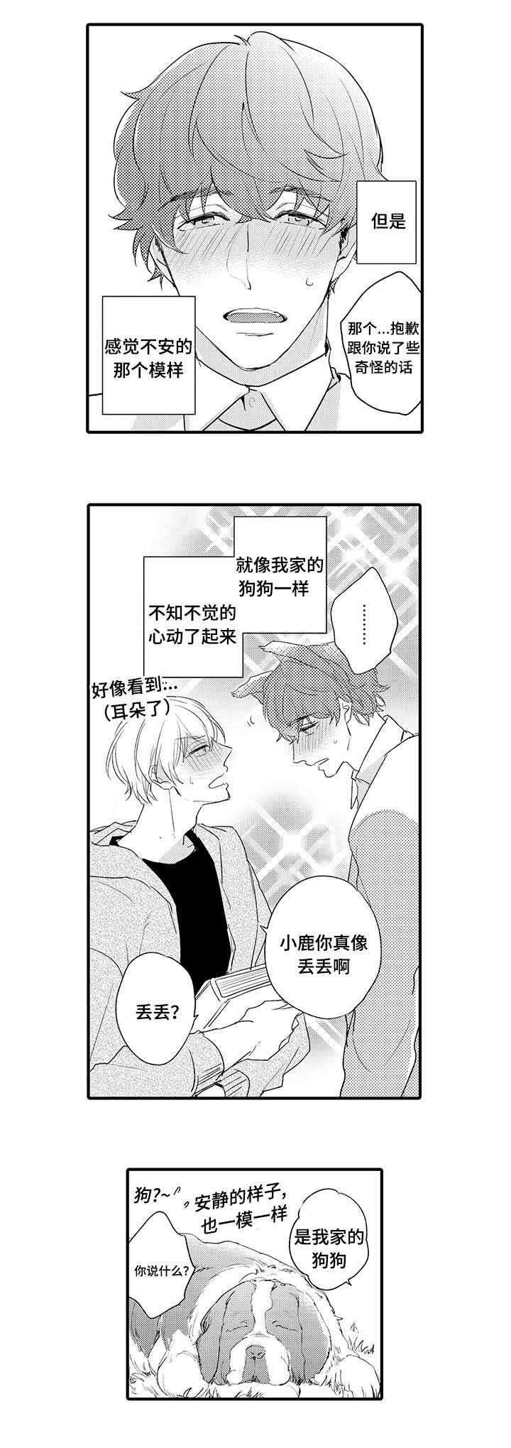 第17章：狗狗