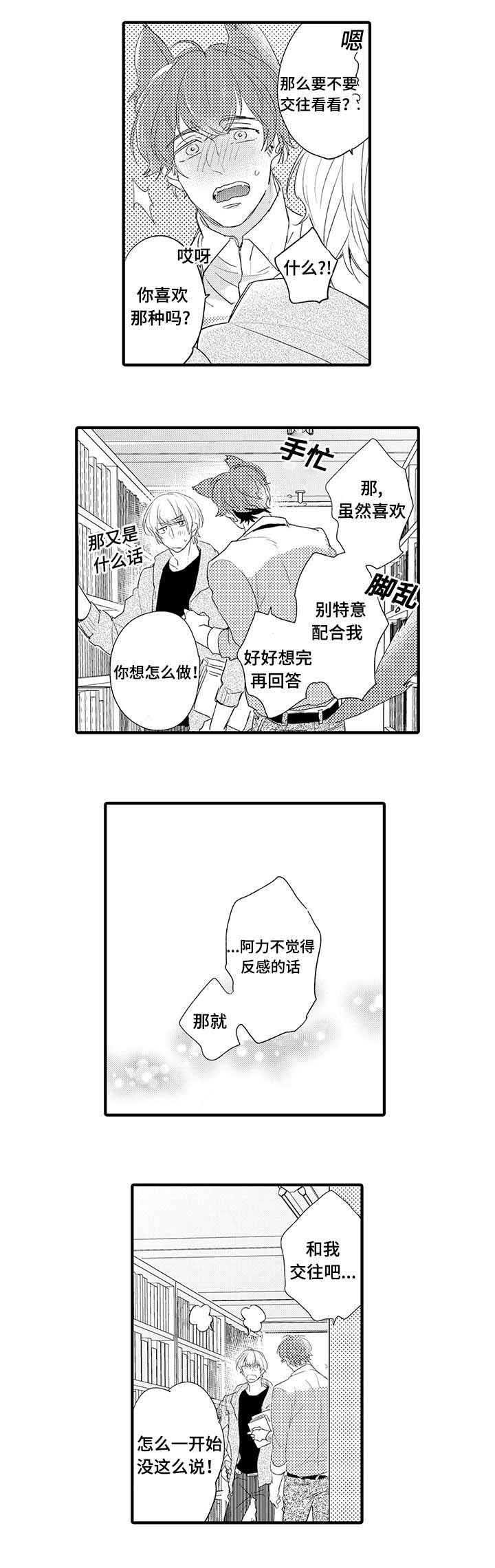 第17章：狗狗