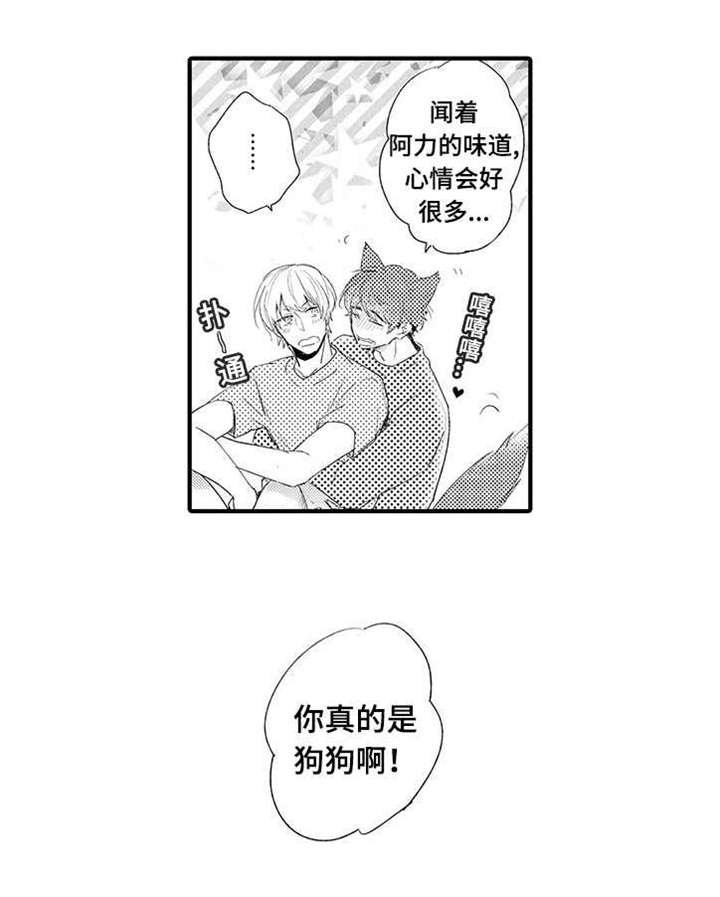 第19章：解开误会