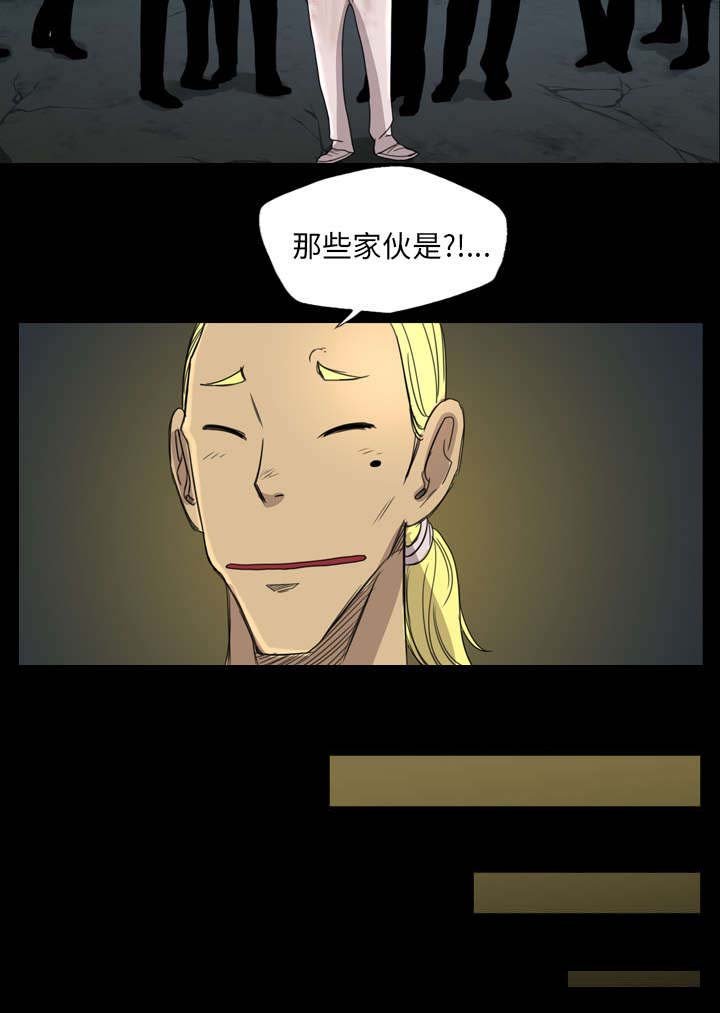 第12章：你是为何而来