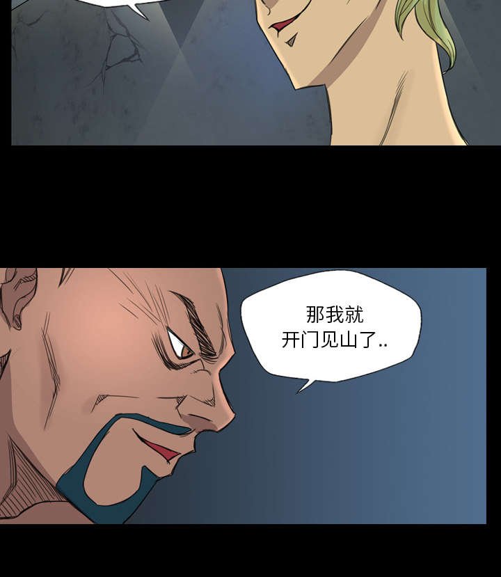 第13章：黑影