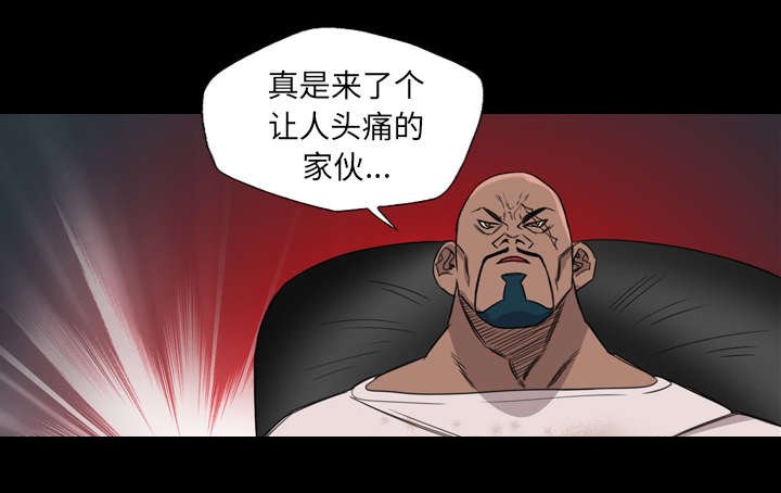 第13章：黑影