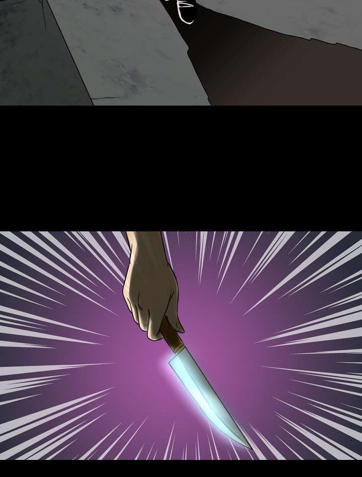 第13章：黑影
