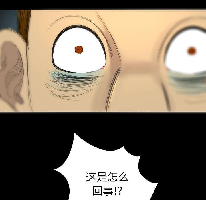 第15章：你真是个疯子