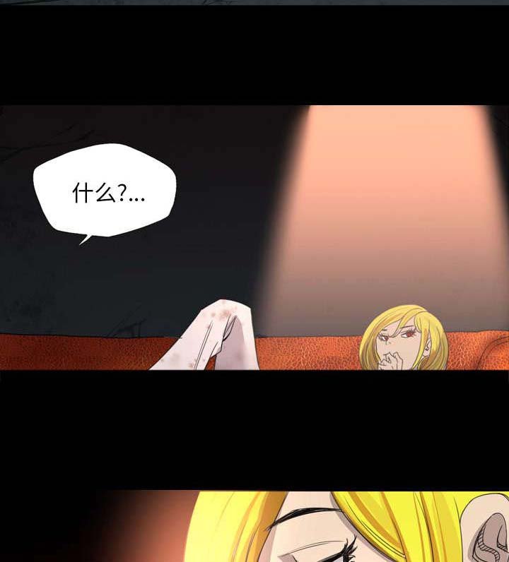 第19章：那个新人