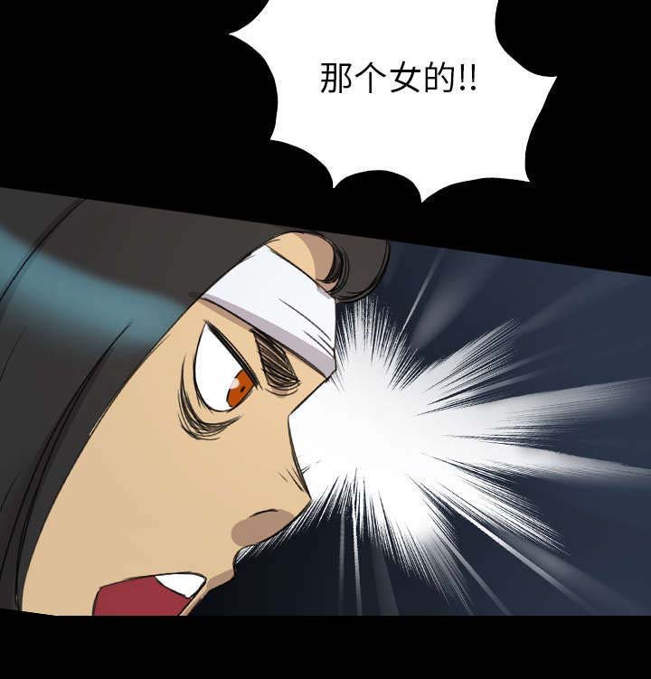 第21章：解释