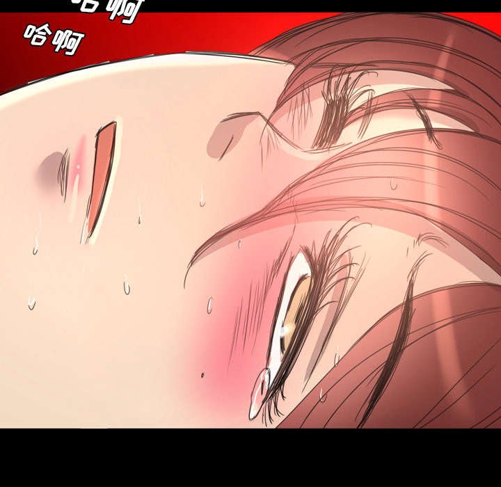 第21章：解释