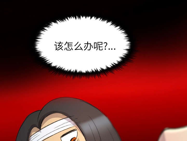 第21章：解释