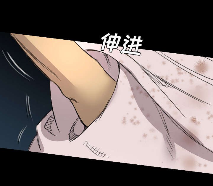 第21章：解释