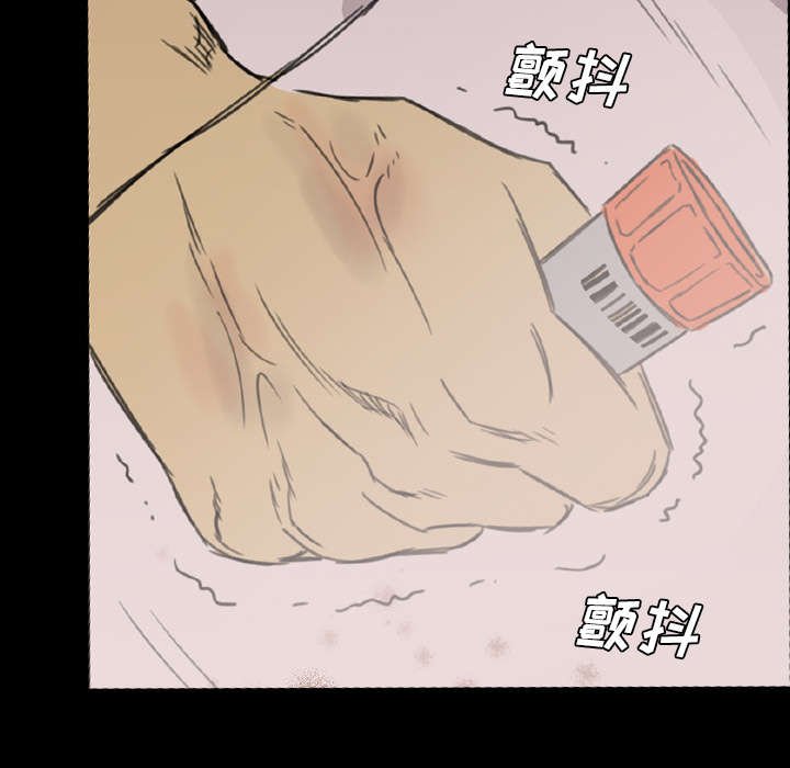第21章：解释