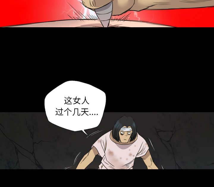第21章：解释