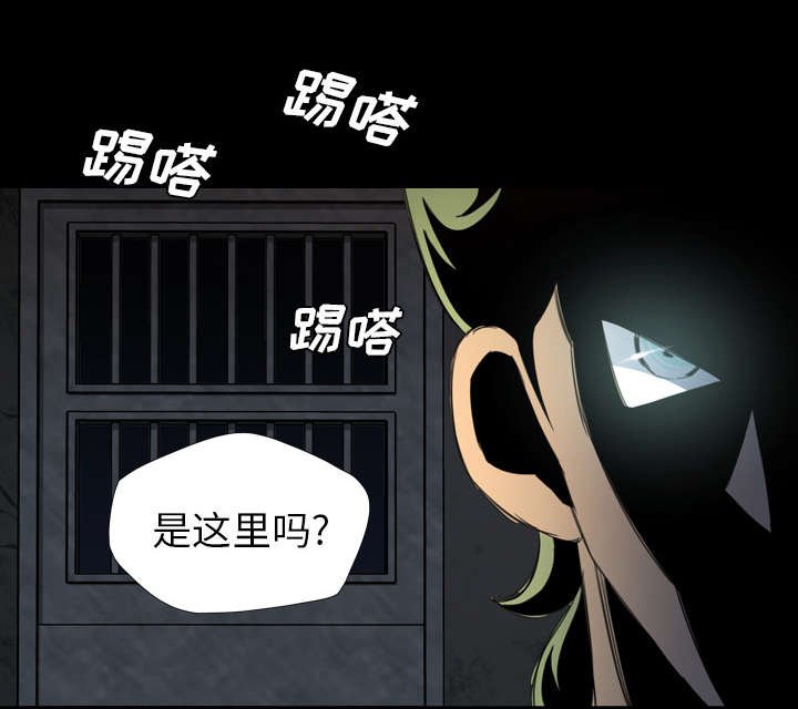 第21章：解释