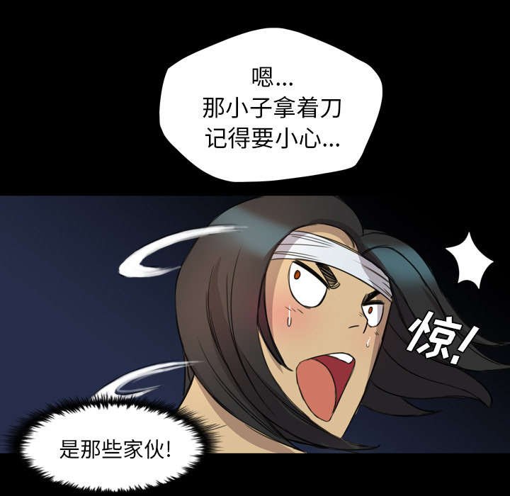 第21章：解释