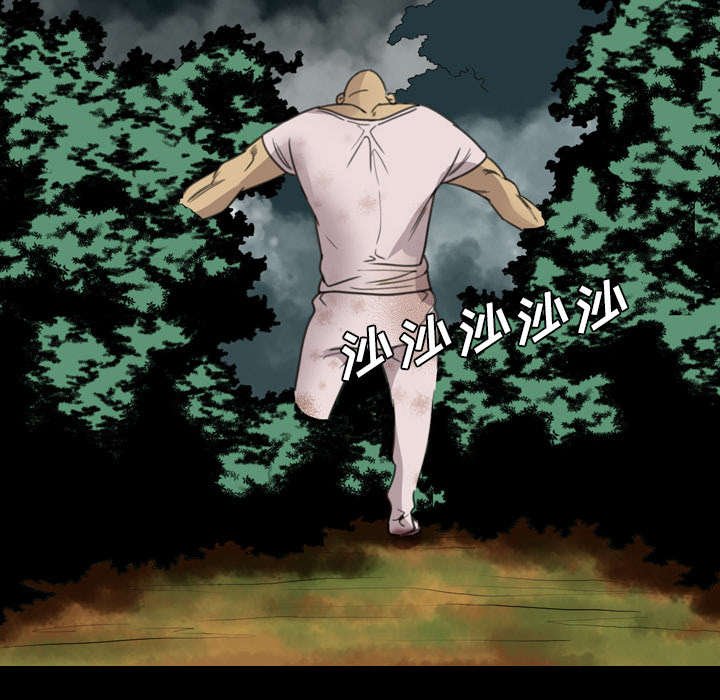 第25章：黑影迷踪