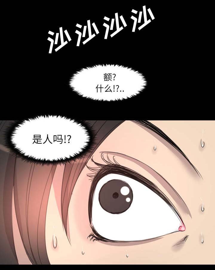 第25章：黑影迷踪