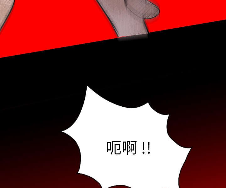 第41章：体型差异