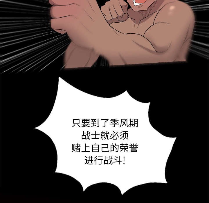 第49章：踢碎你的头盖骨