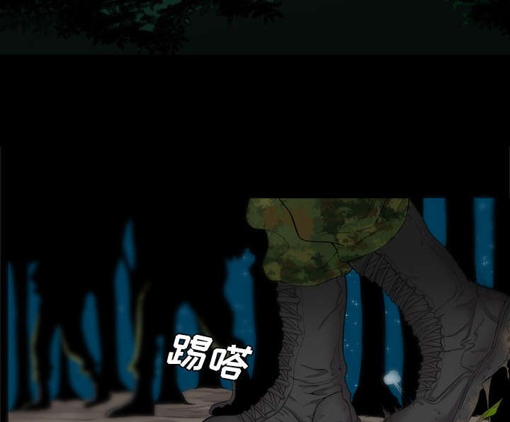 第69章：部署